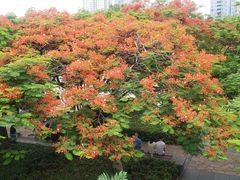-缘生态云南菜·野生菌庭院餐厅(华侨城店)