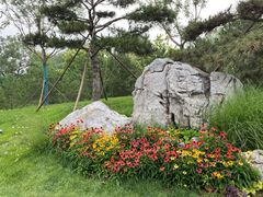 -莲花池公园