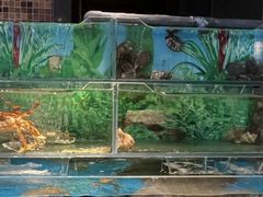 -富力希尔顿酒店·源氏日餐厅