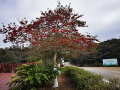 -广州市石门国家森林公园