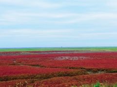 -红海滩国家风景廊道
