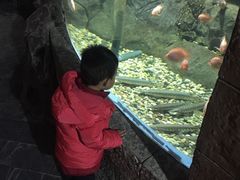 -苏州海洋馆