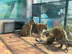 -大连森林动物园