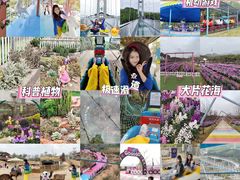 -盈香心动乐园