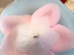 -成都尼依格罗酒店