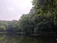 -灵谷景区