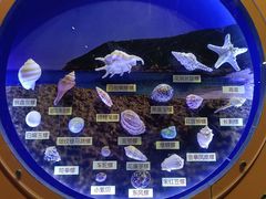 -海合安青岛极地海洋公园