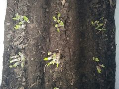 -中国光大银行(皇姑支行)