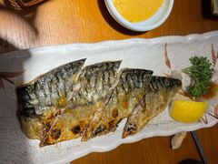 盐烤青花鱼-鳗鱼家·深夜食堂(军博店)