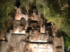 -拉斯维加斯永利酒店