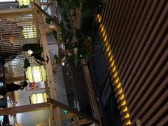 -探窝·竹笙椰子鸡(杨箕店)