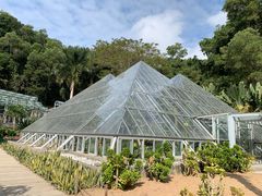 -深圳仙湖植物园
