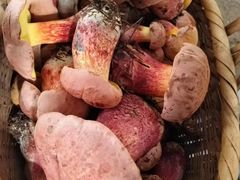 -三锅莊·牦牛肉火锅·香格里拉特色藏餐宴请餐厅(昆明创始店)