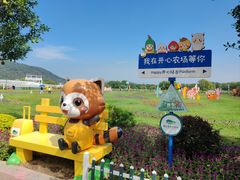-苏州太湖西山岛开心农场