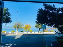 -野菌皇海景野生菌火锅(滨海大道店)