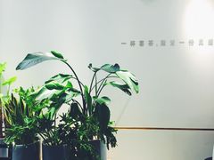 景观位-喜茶(佛山岭南站店)