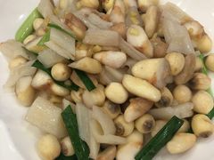 -旅宁大酒店