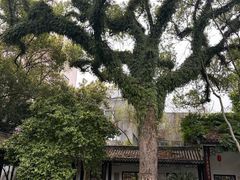 -墨池公园