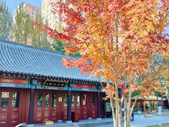 -护国法轮寺