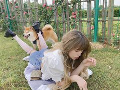 -梁子湖东篱老屋生态庄园