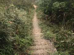 -大罗山风景区