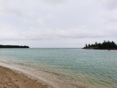 -东郊椰林