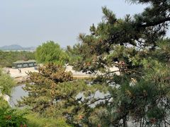 -北京西山国家森林公园