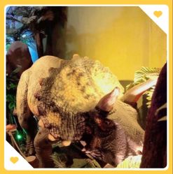 -恐龙探索乐园(磁器口店)