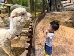 -宝燕乐园(闵行旗舰店)