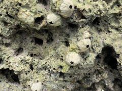 -三亚鹿回头高尔夫球会-停车场