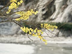 -少华山国家森林公园