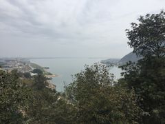 -羚羊峡古栈道森林公园
