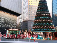 -Tiffany & Co.蒂芙尼
(南京德基广场店)