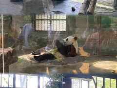 -上海野生动物园