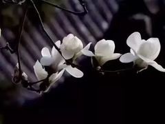-祝家花園(伯渎港店)