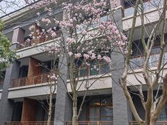 -成都安仁福朋喜来登酒店