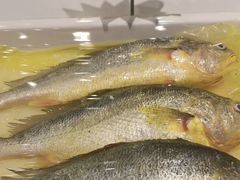 -赶海部落海鲜城(海阳路店)