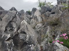 -千岛湖石林