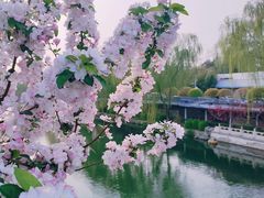 -陶然亭公园