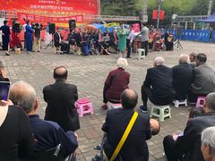 -洛阳市牡丹公园