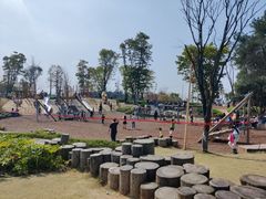 -铁山坪森林公园