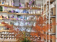 -今日陶艺(富力广场店)