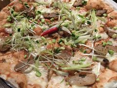 -玛尚诺Pizza&Bar(长泰广场店)