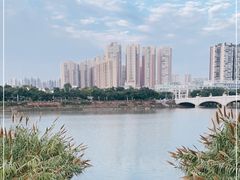 -眉山湿地公园(东坡区)