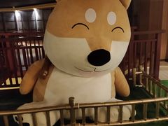-大江户·温泉洗浴(浑南店)