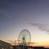深秋 有点冷 傍晚冻的很