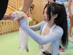-藦茜花园宠物主题亲子互动体验馆(国顺东路店)