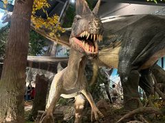 -湖南省地质博物馆