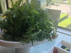 -烹然四季椰子鸡火锅(团结湖总店)