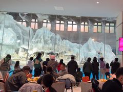 -帝企鹅自助餐厅•儿童岛•真企鹅(长隆企鹅酒店)